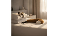 Animal Ears and Tail Set Soft Animal Costume Set Easy to Wear for Cosplayers, Cosplay, Halloween