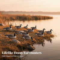 6 Pieces 2D Silhouette Goose Decoy Foldable Canadian Goose Decoy Lightweight