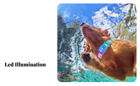 High Visibility LED Pet Collar Multiple Flash Modes Light up Pet Collar Adjustable