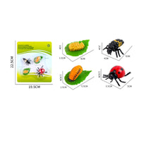 4 Pieces Molded Animal Life Cycle Toy Three-Dimensional Life Cycle Model Learning Educational Figures Realistic for Science Lessons
