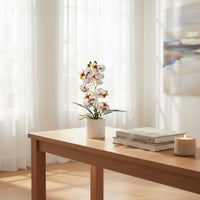 Artificial Bloom Plant Maintenanceno-Maintenance Phalaenopsis Flower Pot