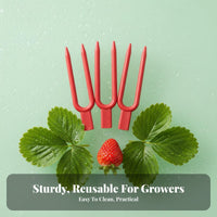 Secure Hold Strawberry Vine Fork Easy to Use Strawberry Support Fork Sturdy for Home Gardeners, Farmers, Garden, Vegetable Plot, Greenhouse