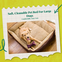 Orthopedic dog bed, removable cover