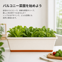 Rectangular Planter, Flower Pot, Resin, Deep Type, Balcony Vegetable Garden, Suitable for Living Rooms, With Automatic Watering Function, Clear Bottle, 240ml