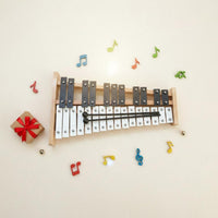 27 Note Glockenspiel Matte Finish Keys Chromatic Xylophone for School, Beginners