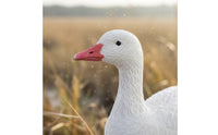 Textured Fullbody Snow Goose Decoy Sturdy Goose Floater Decoy One-Piece Fast Setup for Hunters, Pond, Garden