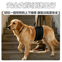 狗狗辅助带老龄犬上楼腿部背带走路狗腿护残疾疾复带跨境代发XJ