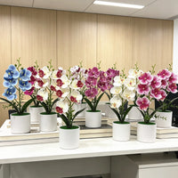 仿真5朵蝴蝶兰盆栽假花仿真花居家办公装饰场景布置摄影绿植道具