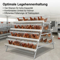 Tiered chicken cage, galvanized steel cage for laying hens, multi-level poultry cage for egg production, hygienic chicken keeping