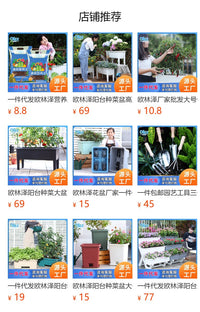 欧林泽工厂一件代发G格瑞塔全透明自吸水懒人花盆双层吸水盆现货