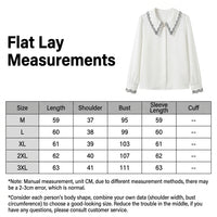 Ladies Long Sleeve Tops with Embroidered Detail for Women, Pleated Sheer Fabric Blouses for Office Wear, Spring Business Casual
