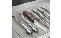 6 Pieces Drizzle Spoon Set Easy to Clean Cooking Tweezers Plating Tweezers