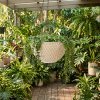 Plant Pots and Hanging Basket for Plants Indoor or Outdoor, Honeycomb Pattern Round Hanging Plant Pot, 25cm Plant Pot for Small Pots for Plants