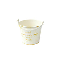 Mini Vintage Iron Bucket Flower Pot for Succulents, Desktop Decor