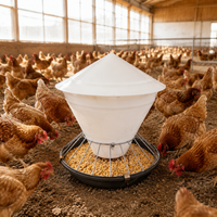 Automatic Chicken Feeder, 50cm Wet Weather Poultry Feeder, 60kg Large Capacity Outdoor Feed Trough for Duck & Goose