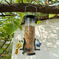 Outdoor Hanging Bird Feeder for Small Birds, Parrots, and Mynah Birds