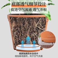 Terracotta-Style Embossed Resin Planter with Tray for Roses Hydrangeas Fruit Trees, Breathable Thickened Garden Pot