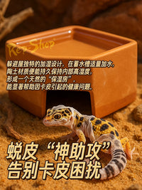 Reptile Ceramic Humidifying Hideaway Cave for Lizards, Geckos, Snakes, and Spiders