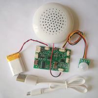 DIY USB Downloadable MP3 Voice Module with Human Body Induction for Greeting Cards