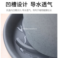 Round Plastic Plant Pot Saucer with Drainage Holes for Indoor Outdoor Use