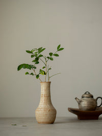 Wabi-Sabi Ceramic Hydroponic Vase for Dried Flowers and Home Decor