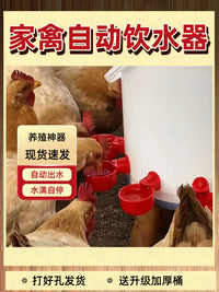 Automatic Poultry Waterer with Drinking Cups for Chickens, Ducks, Geese, Pigeons, and Birds