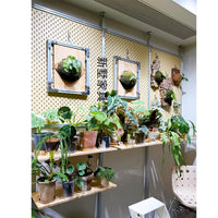 Minimalist Floor-to-Ceiling Aluminum Plant Stand Living Room Planter Shelf Storage Rack
