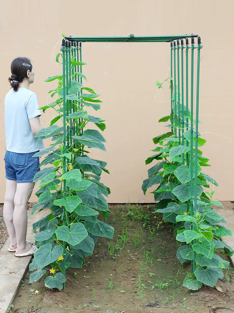Garden Trellis Kit for Climbing Plants, Vegetables, Fruits - Coated Steel Pipe Support Frame