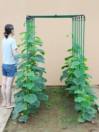 Garden Trellis Kit for Climbing Plants, Vegetables, Fruits - Coated Steel Pipe Support Frame