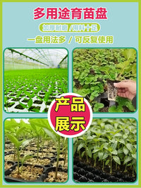 Seedling Starter Trays with 10-Pack Plastic Plant Propagation Germination Trays for Vegetable and Flower Cultivation