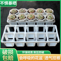 Thickened Octagonal Plastic Succulent Planter Pots for Home Gardening and Seedling Propagation