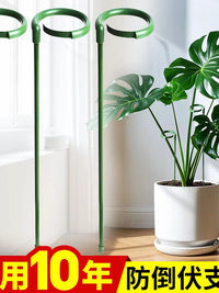 Plant Support Stakes for Potted Plants, Monstera, Amaryllis, Lily, Tomato, and Climbing Vines