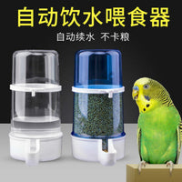 Automatic Water Feeder for Quail, Parrots, Pigeons, and Other Small Birds