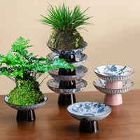 Japanese Ceramic Planter with Tray for Moss Balls & Hydroponics, Desktop Zen Decor