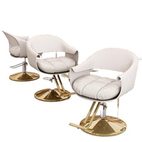 Premium Hydraulic Swivel Reclining Barber Chair for Salon Hair Styling