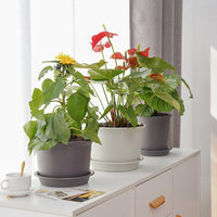Thickened Round Plastic Plant Pot for Balcony Gardening, Succulents, and Green Plants