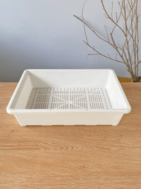 Seedling Tray with 20 Cells and Optional Humidity Dome for Succulents and Plant Propagation