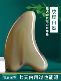 White Buffalo Horn Gua Sha Board and Massage Stick Set for Face, Eye, and Body Therapy