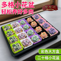 Succulent Seedling Tray Set with Square Pots and Drip Tray