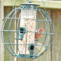Lantern Metal Bird Feeder with PC Tube for Outdoor Hanging, Squirrel-Proof Hummingbird Feeder