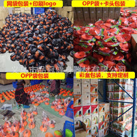 Soccer Training Cones, Agility Disc Cones for Football Basketball Drills, Field Marker Saucers