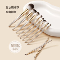 Makeup Brush Set with Soft Bristles for Eyeshadow, Powder, Contour, Highlight, and Nose Shadow