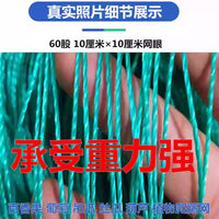 Plant Trellis Netting for Climbing Vines, Fruits, and Flowers