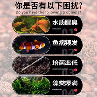 Volcanic Rock Aquarium Substrate for Fish Tanks, Filter Media, and Landscaping
