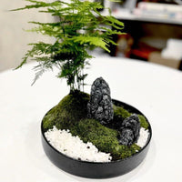 Minimalist Japanese-Style Plastic Flower Pot for Hydroponics and Floral Arrangements