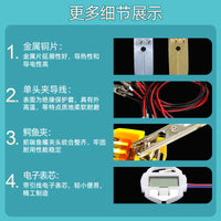 Fruit Battery Science Experiment Kit with Zinc and Copper Electrodes