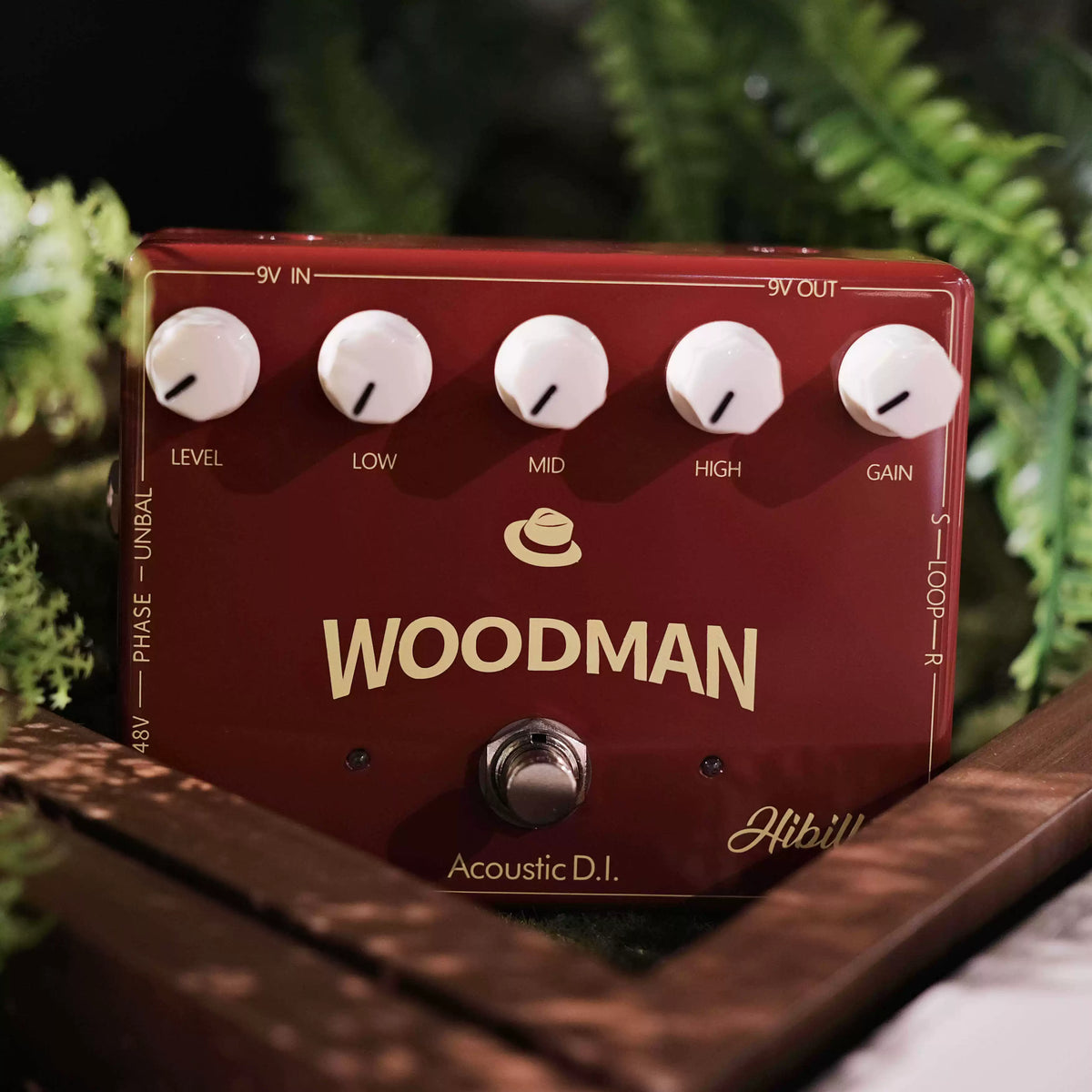 Woodman D.I. Box Acoustic Guitar Preamp for Folk Classical Electric-Acoustic Fingerstyle