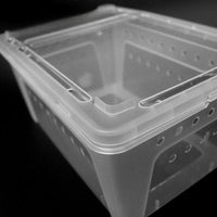 Reptile Terrarium with Basking Platform for Turtles, Spiders, Crabs, Frogs, Geckos, and Insects