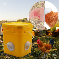 Automatic Poultry Feeder for Chickens, Ducks, and Geese