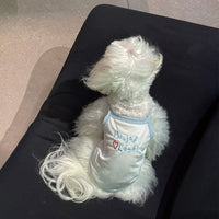 Pet Cooling Vest for Small Dogs and Cats, Breathable Sun Protection Shirt for Summer